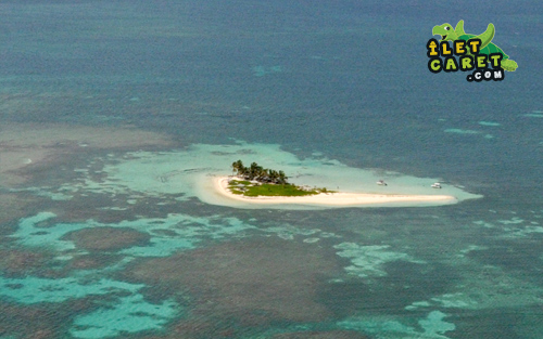 Emplacement de Caret sur la barrière de corail