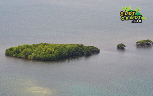 Mangrove de l'îlet Christophe