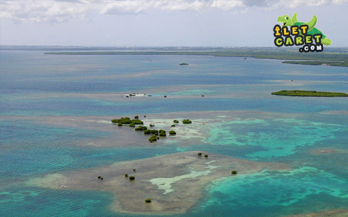 Petite Biche suivi par l'îlet la Biche