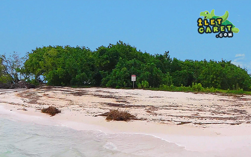 Plage de l'îlet blanc