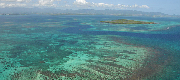 Barrière de corail du Grand-cul-de-sac-marin